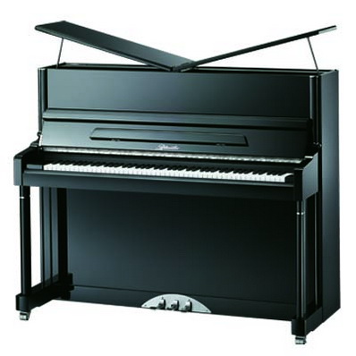 里特米勒-精典系列 源自德国的专业钢琴 全国热卖中。。。